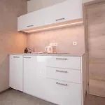 Apartman Bílá Nisa Bedřichov
