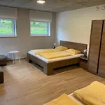 Bílá Nisa Apartman *