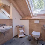Apartman Bílá Nisa Bedřichov